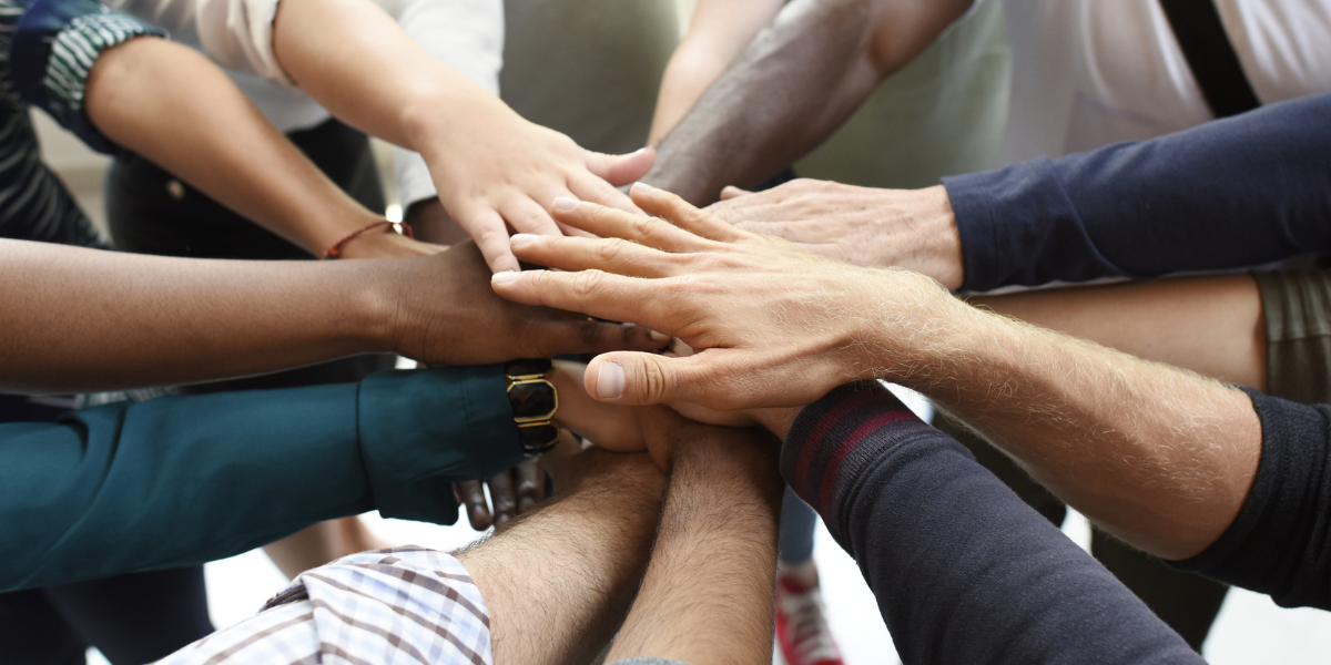 team-innovation-1 organization innovation